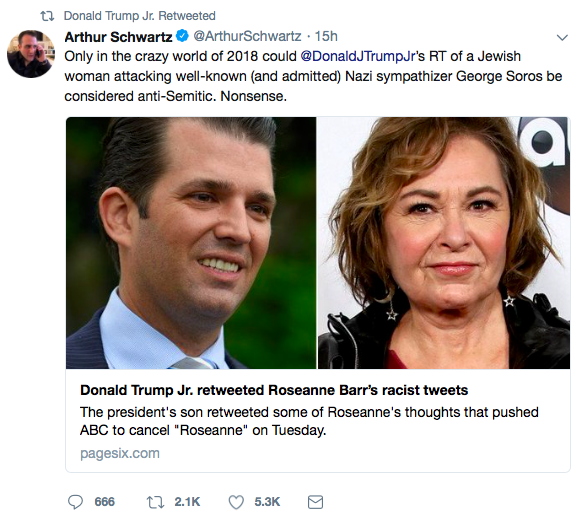 Donald Trump Jr. retweet of Soros conspiracy